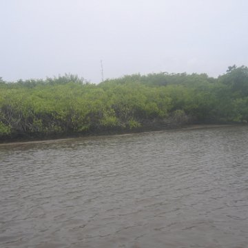 IMG_9401 IMG_9401