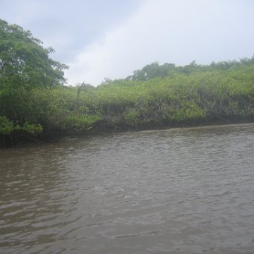 IMG_9402 IMG_9402
