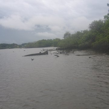 IMG_9404 IMG_9404