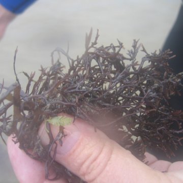 IMG_9410 IMG_9410