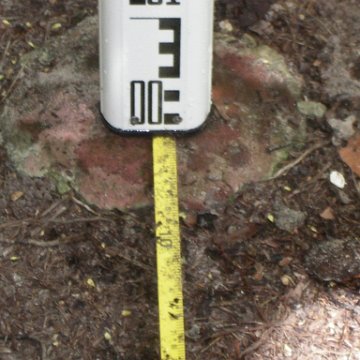 IMGP3839