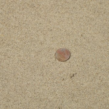IMGP3846
