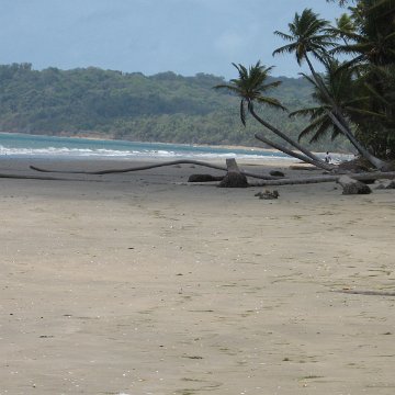 IMG_0156
