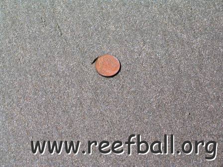 Surficial Sediment