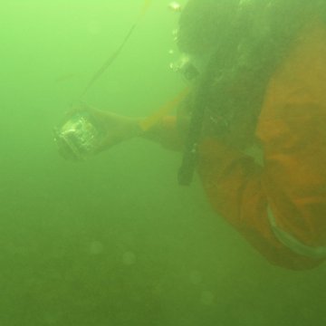 P1011379 P1011379