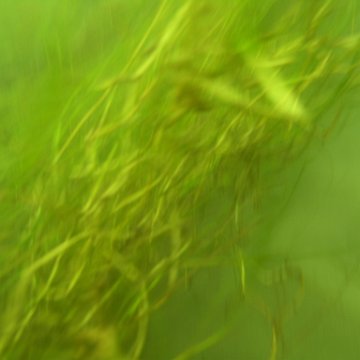 P1011411 P1011411
