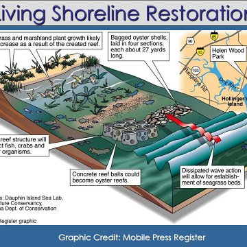 Living+Shoreline+Restoration