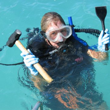 Rescueof17.5tonsofcoralsfromdredgingoperation