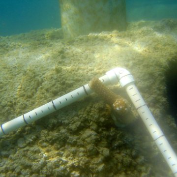 picture_124
