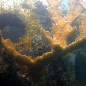 antigua10052010monitoring