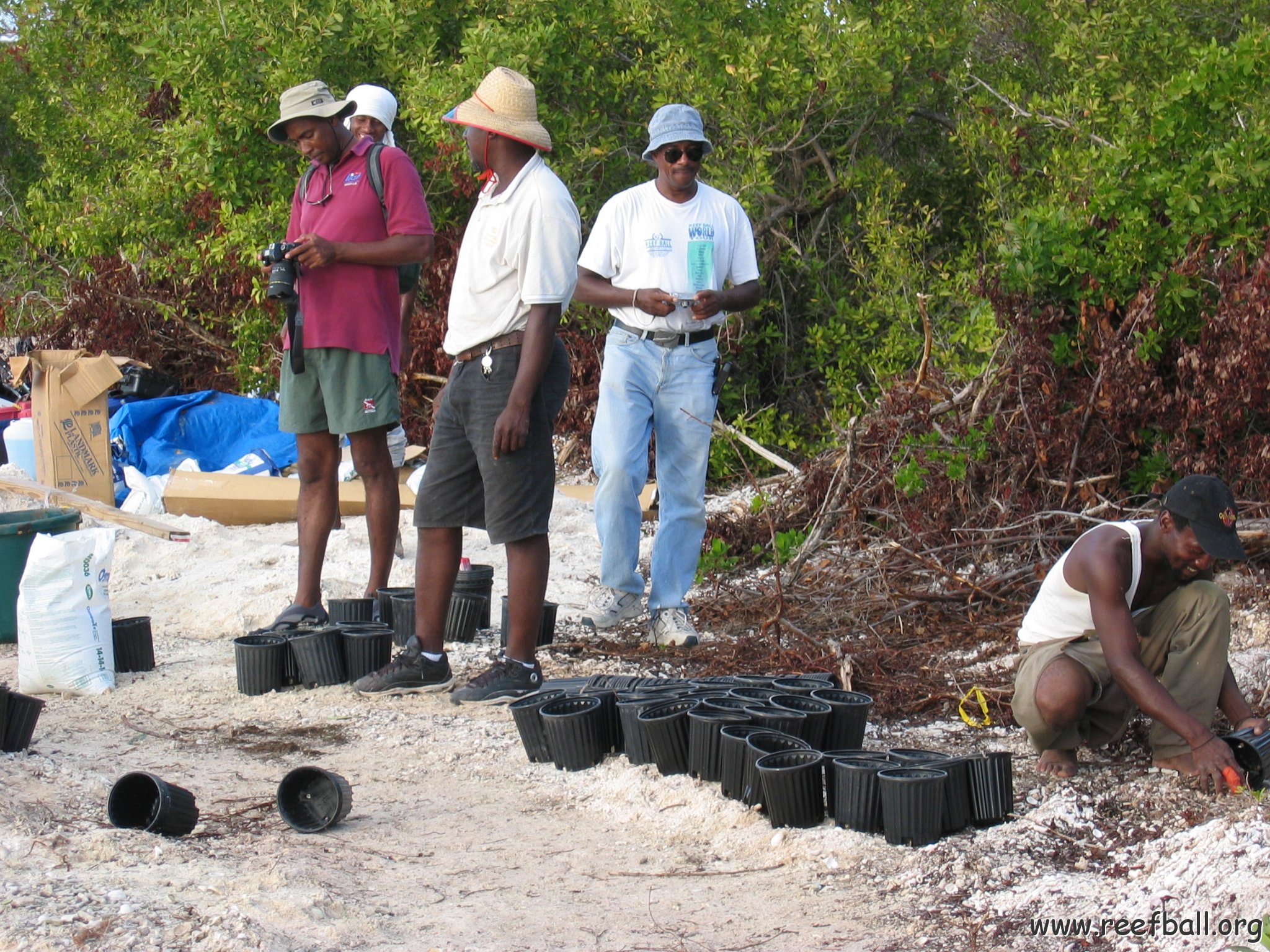 2nddaymangroves_049