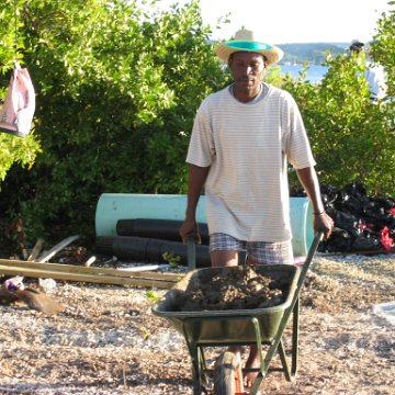 2nddaymangroves_003 2nddaymangroves_003