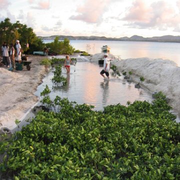 2nddaymangroves_006