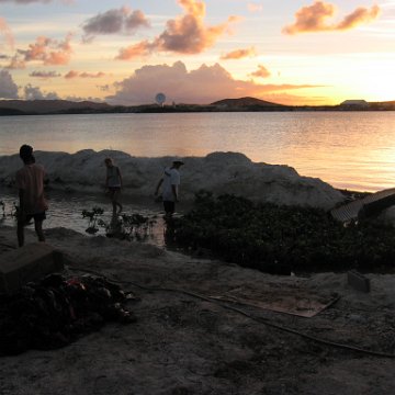 2nddaymangroves_010 2nddaymangroves_010