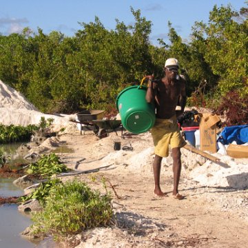 2nddaymangroves_031 2nddaymangroves_031