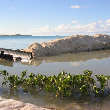 2nddaymangroves_033