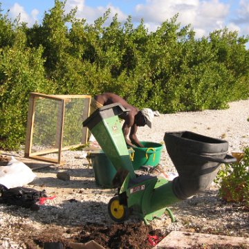 2nddaymangroves_034 2nddaymangroves_034