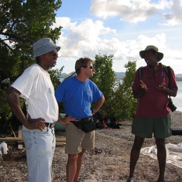 2nddaymangroves_037 2nddaymangroves_037