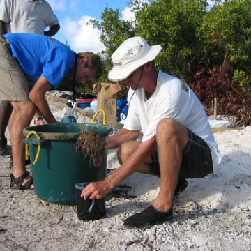 2nddaymangroves_039 2nddaymangroves_039