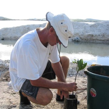 2nddaymangroves_041 2nddaymangroves_041