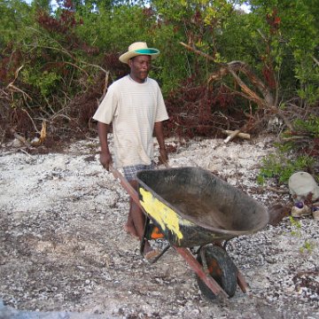 2nddaymangroves_048 2nddaymangroves_048