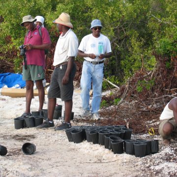 2nddaymangroves_049