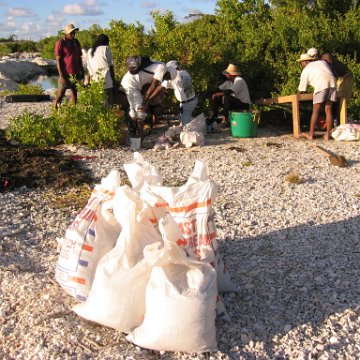 2nddaymangroves_053 2nddaymangroves_053