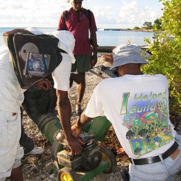 2nddaymangroves_056 2nddaymangroves_056