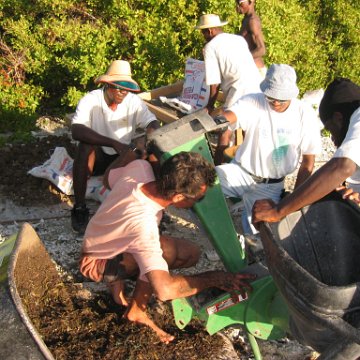 2nddaymangroves_058 2nddaymangroves_058