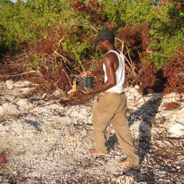 2nddaymangroves_059 2nddaymangroves_059
