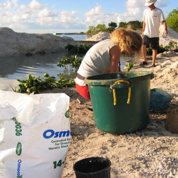 2nddaymangroves_060 2nddaymangroves_060