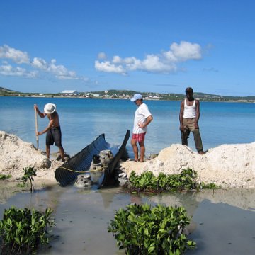 openingcontainerandfirstday4000mangroves_051