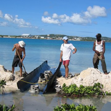 openingcontainerandfirstday4000mangroves_052 openingcontainerandfirstday4000mangroves_052
