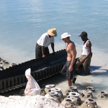openingcontainerandfirstday4000mangroves_057 openingcontainerandfirstday4000mangroves_057
