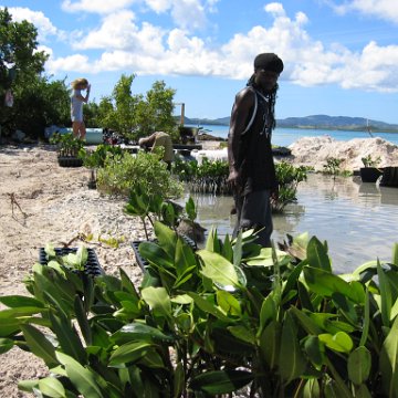 openingcontainerandfirstday4000mangroves_062 openingcontainerandfirstday4000mangroves_062