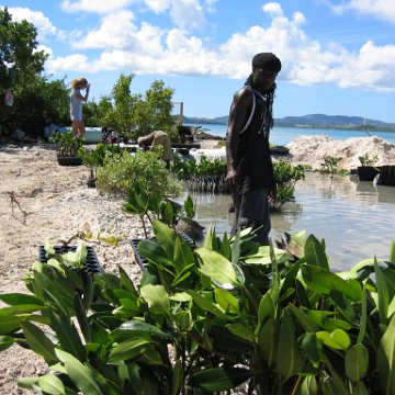 openingcontainerandfirstday4000mangroves_062