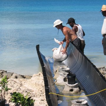 openingcontainerandfirstday4000mangroves_064 openingcontainerandfirstday4000mangroves_064
