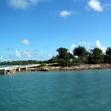 ashtonspicsvaritey_235 ashtonspicsvaritey_235