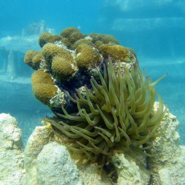 snorkeltrail_012