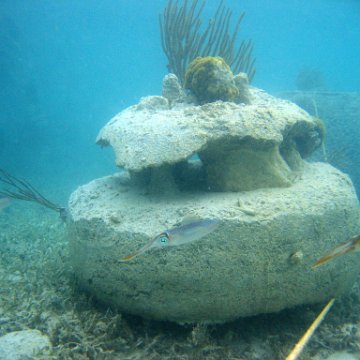 snorkeltrail_106