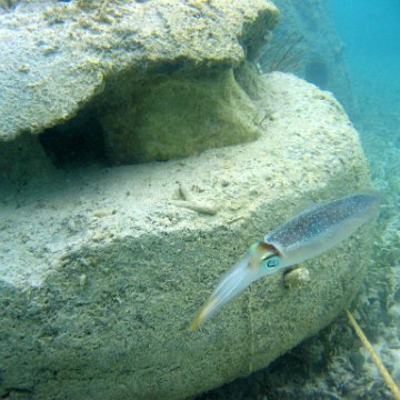 snorkeltrail_108