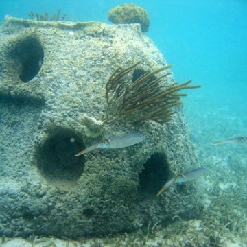 snorkeltrail_111