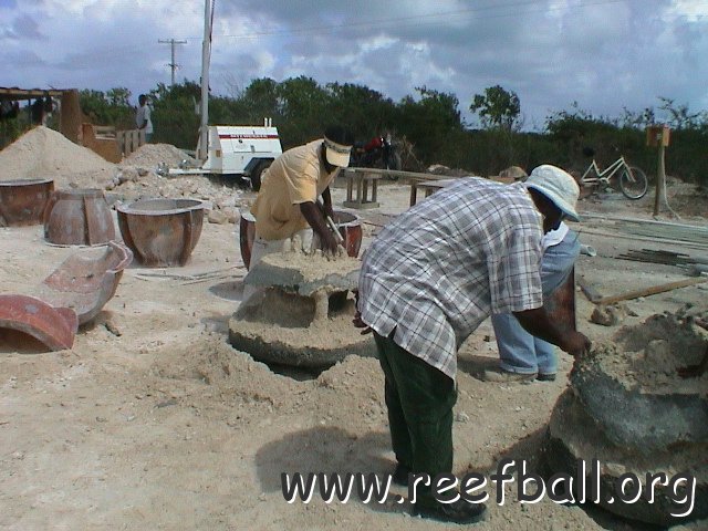 saramangrovegulauplepics_583