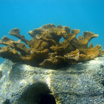 snorkeltrail_011