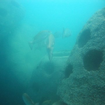 snorkeltrail_027