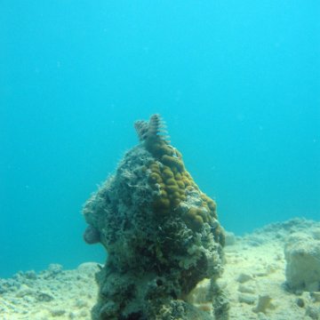 snorkeltrail_040