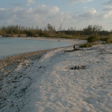 PIC00015 PIC00015