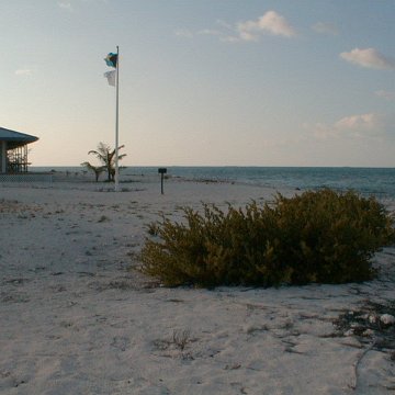 PIC00016 PIC00016
