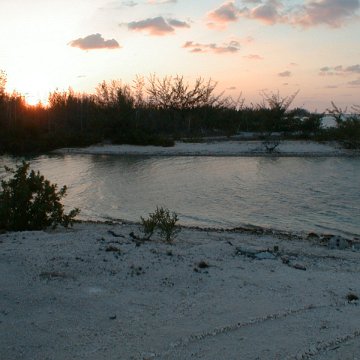 PIC00024 PIC00024