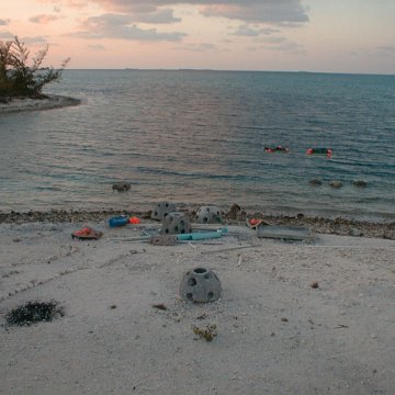 PIC00025 PIC00025